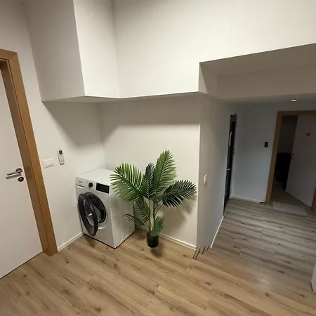 Residenza Turci 3* 里乔内