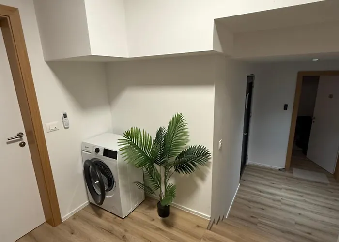 Residenza Turci 3* 里乔内